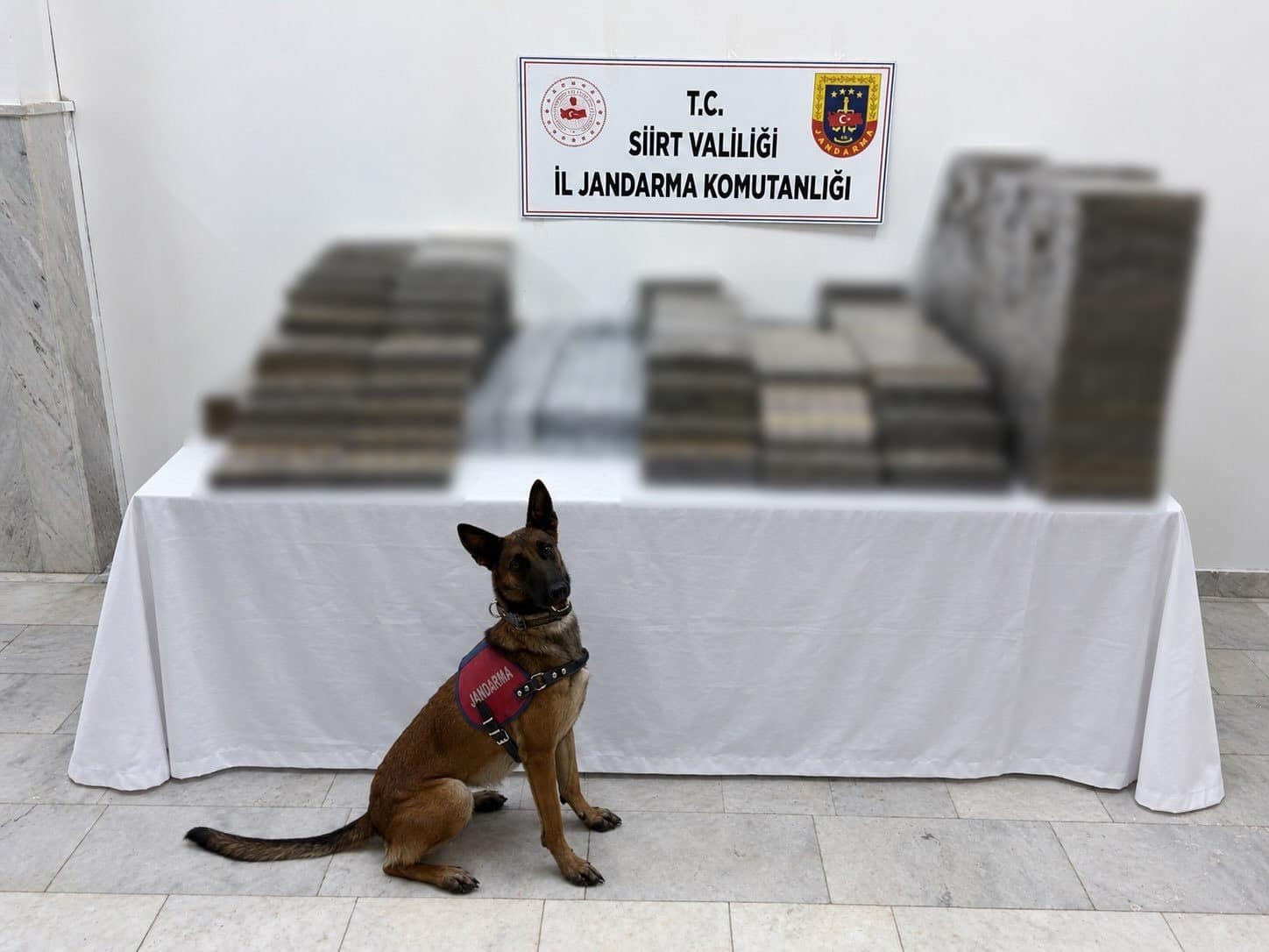 Siirt’te kömür çuvallarının arasına gizlenmiş 10 bin 250 paket kaçak sigara ele geçirildi
