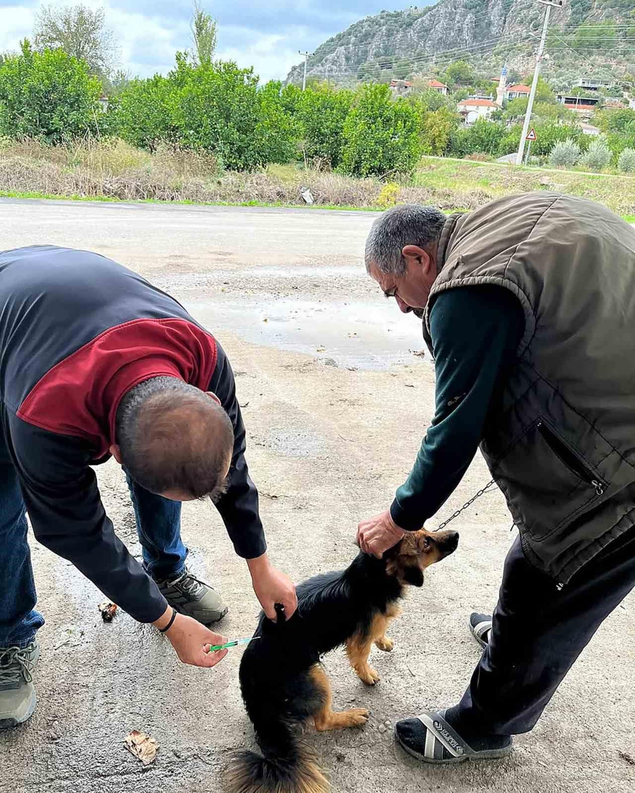Ortaca’da kedi ve köpeklere kuduz aşısı